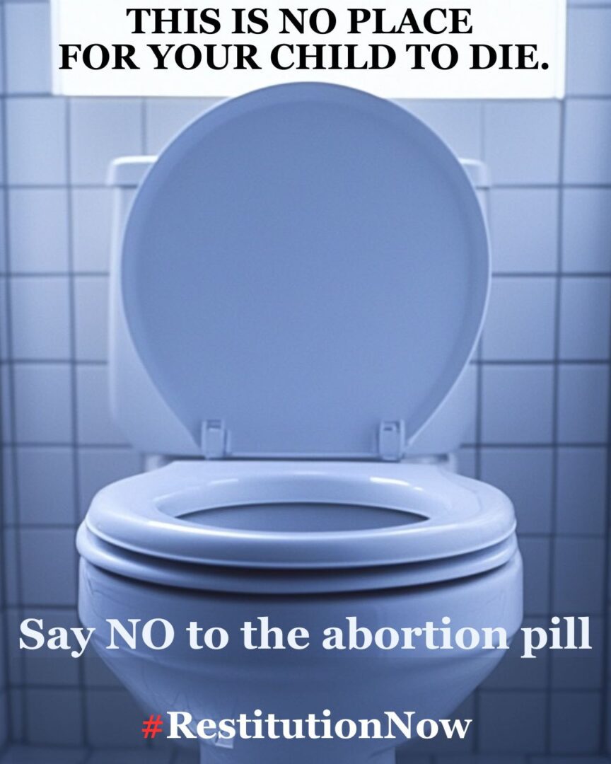 A toilet with the lid up and text saying " say no to the abortion pill ".